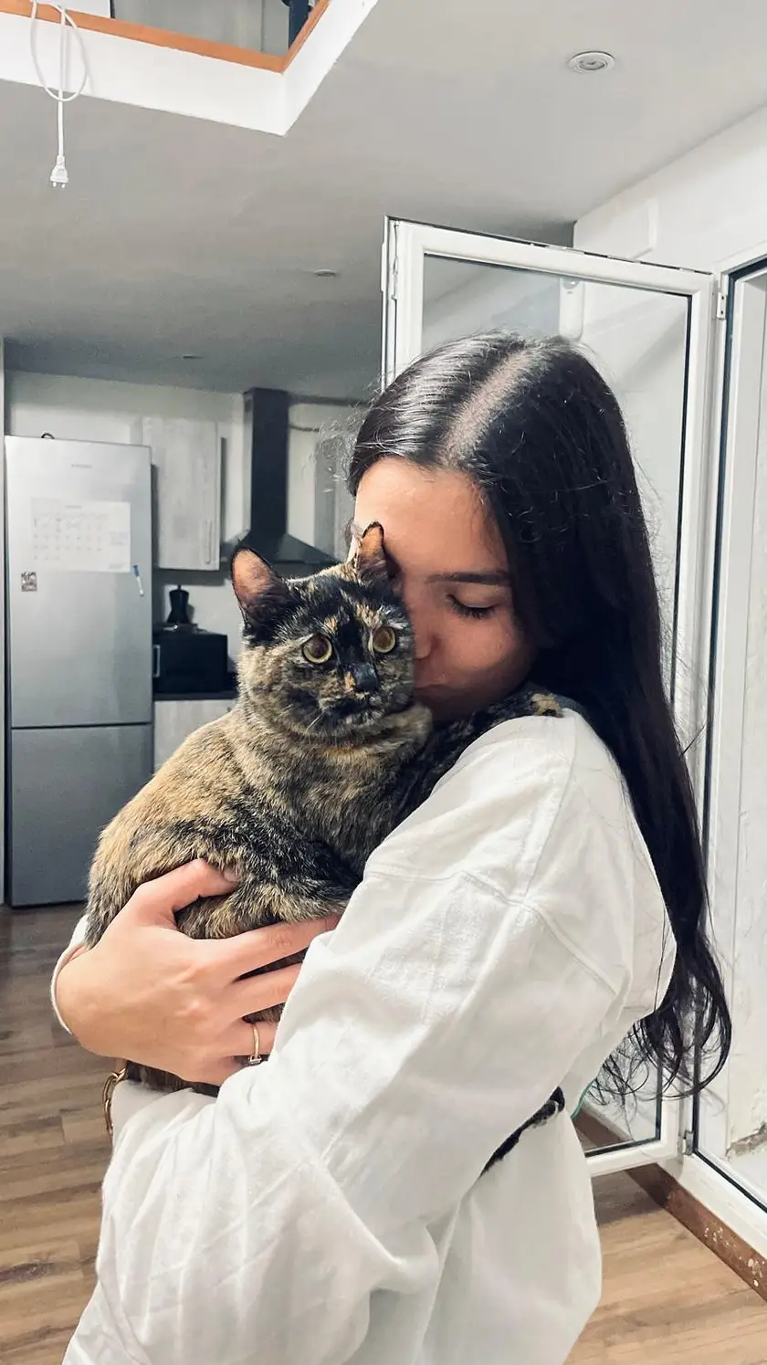 Ambar