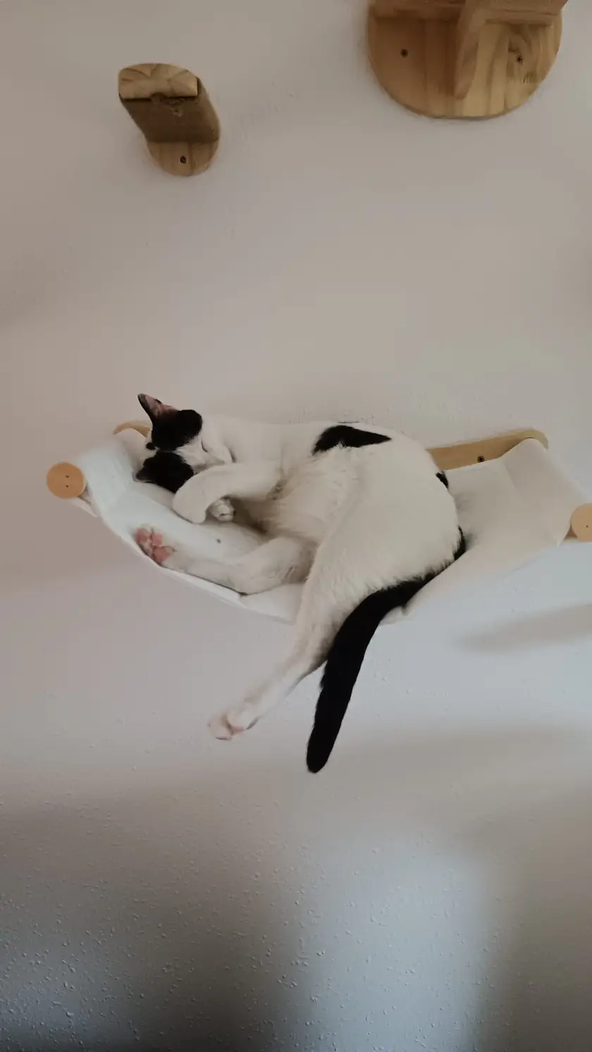 Mika